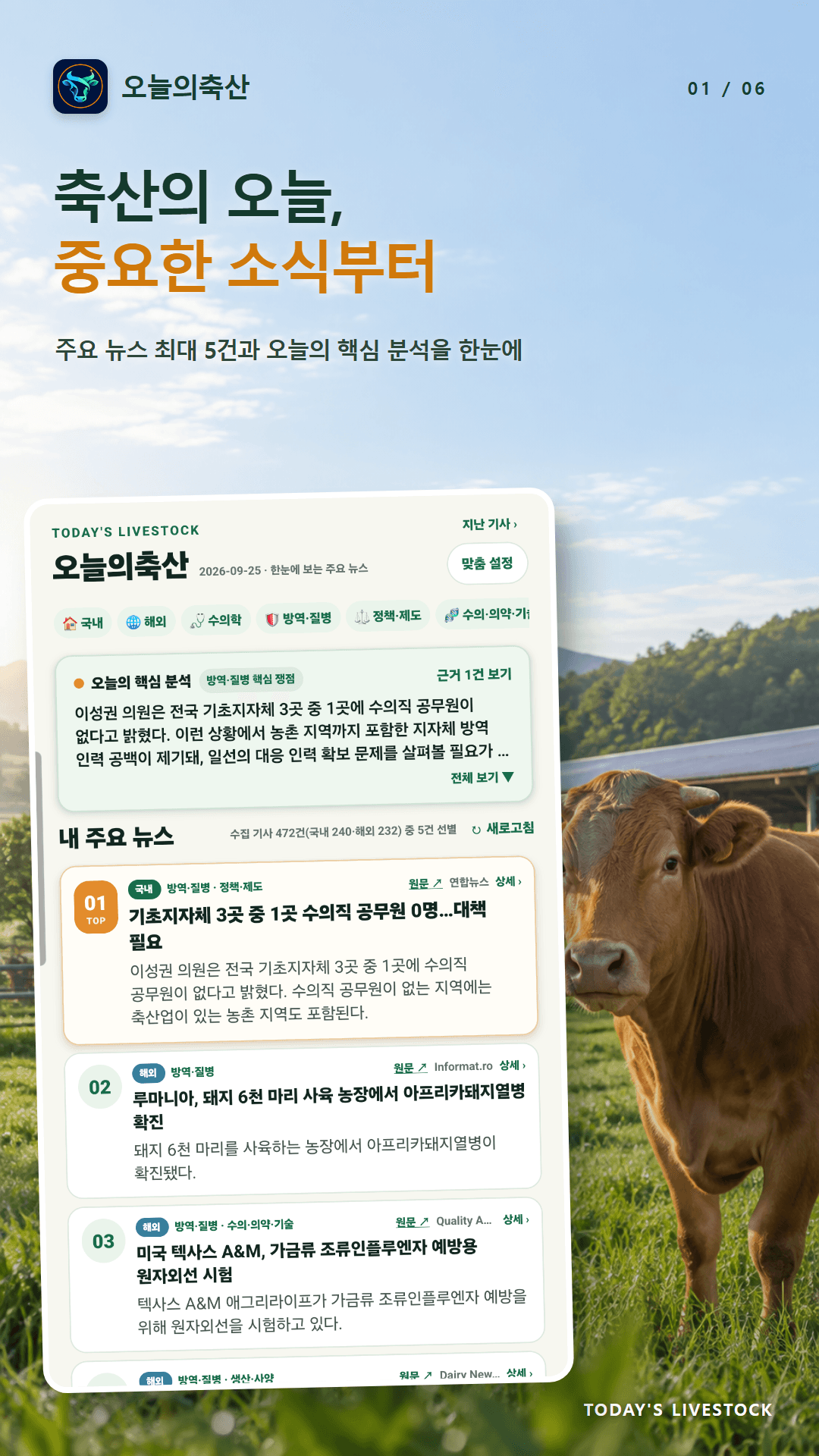 오늘의축산 소개: 오늘의 주요 뉴스와 핵심 분석 화면