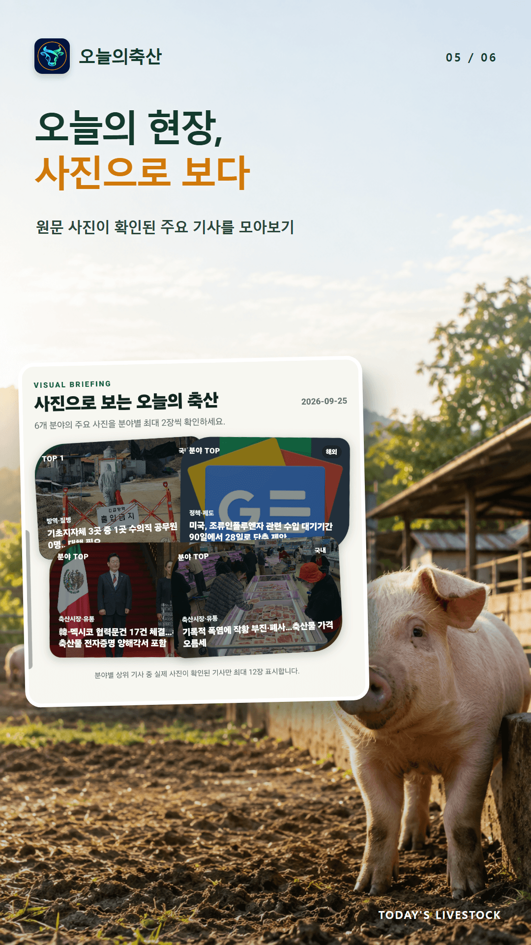 오늘의축산 소개: 주요 기사 사진을 모아 보여주는 화면