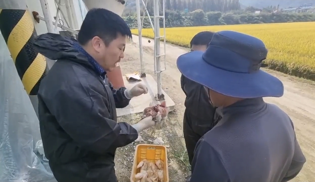 현장농가 질병컨설팅